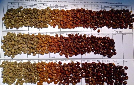 Different types of Coffee beans